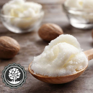 Shea Butter for Soft, Hydrated Skin